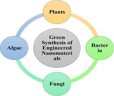 Recent progress in bio-mediated synthesis and applications of engineered nanomaterials for sustainable agriculture